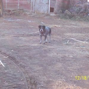 Meet your Posher, Gerry